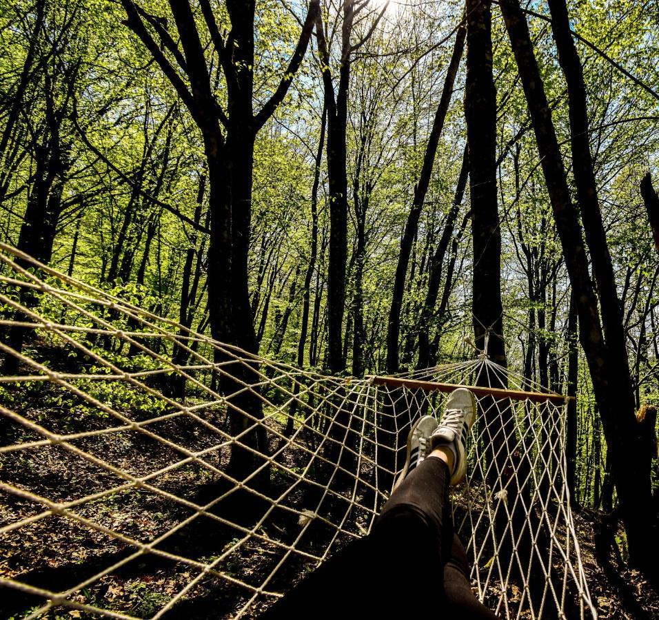 Robinzonski Turizam "Robin' S Hood" Skrad Bagian luar foto