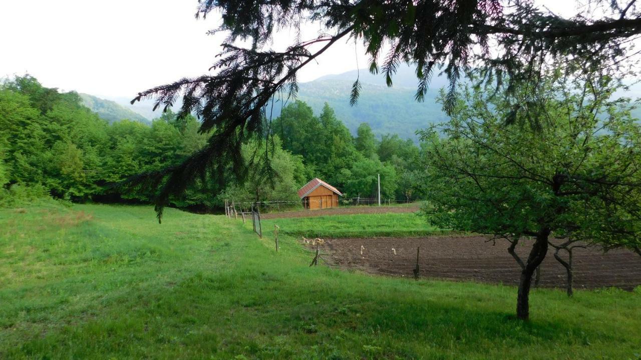 Robinzonski Turizam "Robin' S Hood" Skrad Bagian luar foto